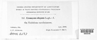 Image Associated With the Occurence